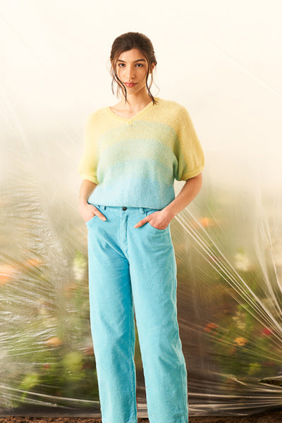Cosy V-Neck Blue / Yellow